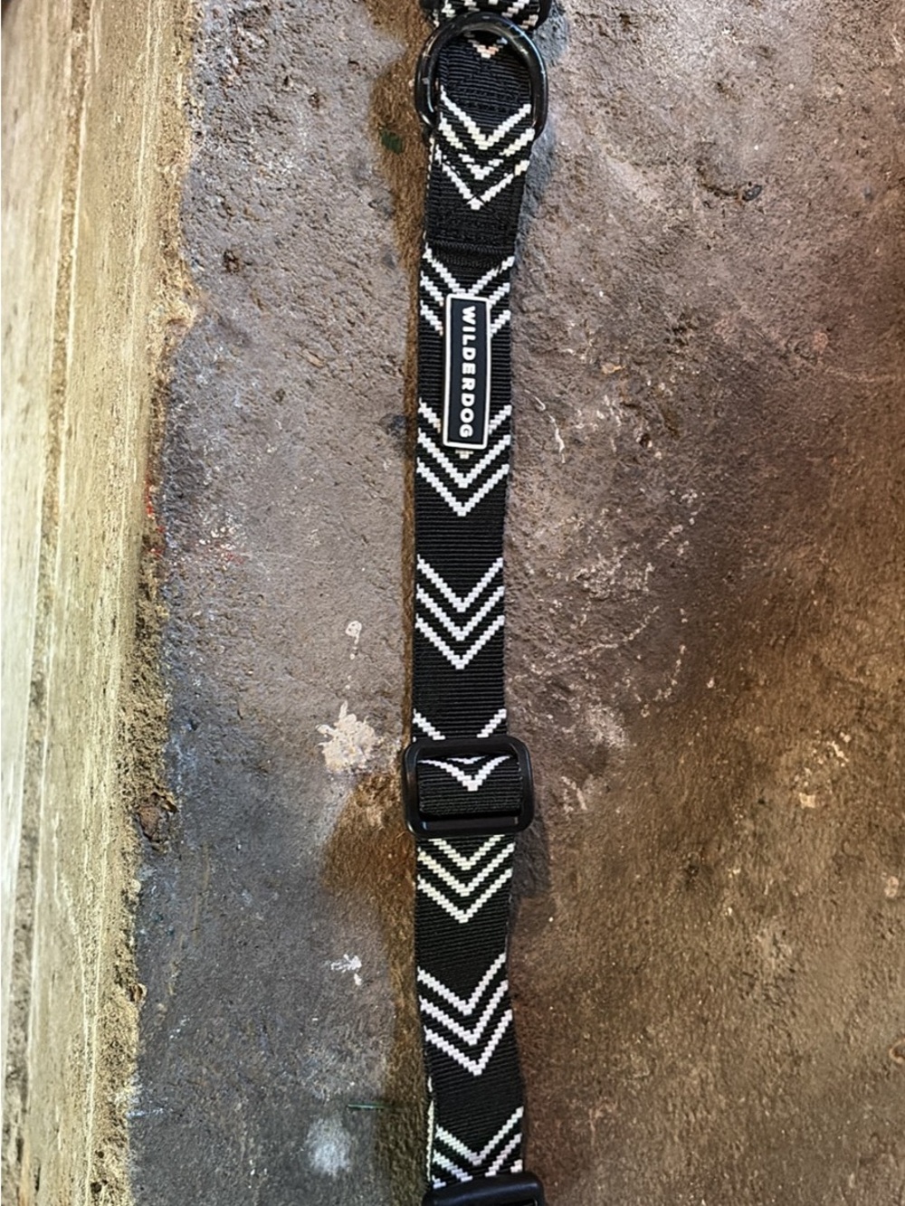 Wilderdog Black & White Chevron Adjustable Dog Collar